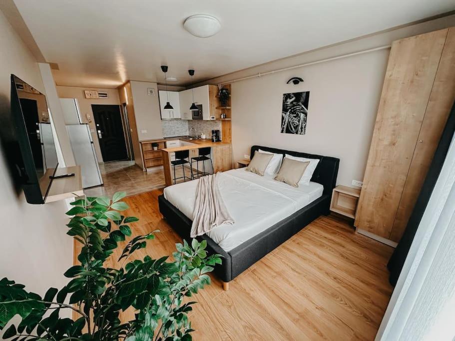 Agoll Victoria - Self Checkin Daire Reșița Dış mekan fotoğraf